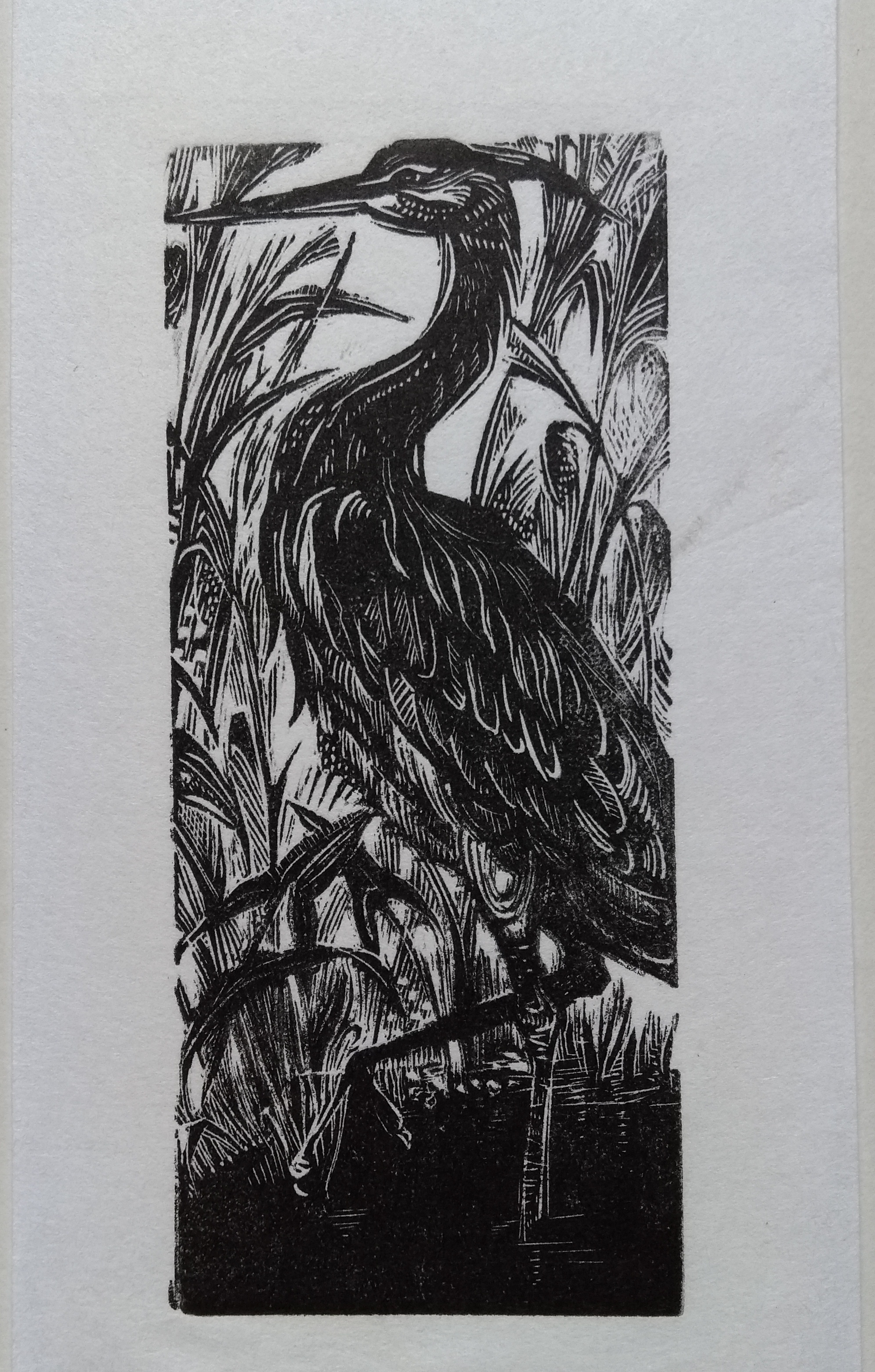 Wood engraving of a heron by Ulla Frisch
